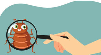 The Ultimate Guide to Keeping Your Home Pest-Free 🐜🚫